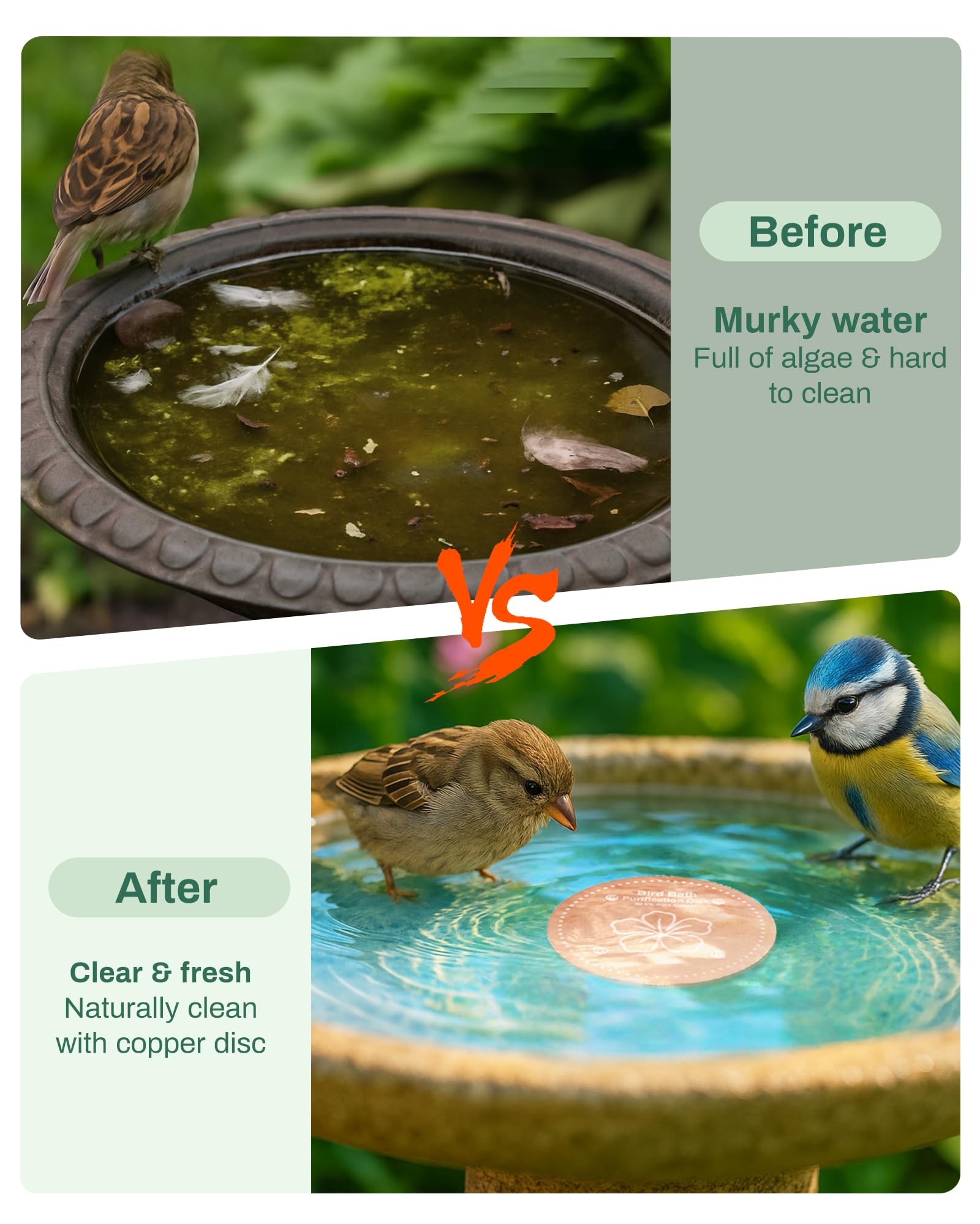 OICEME Bird Bath Purification Disk in a birdbath filled with water