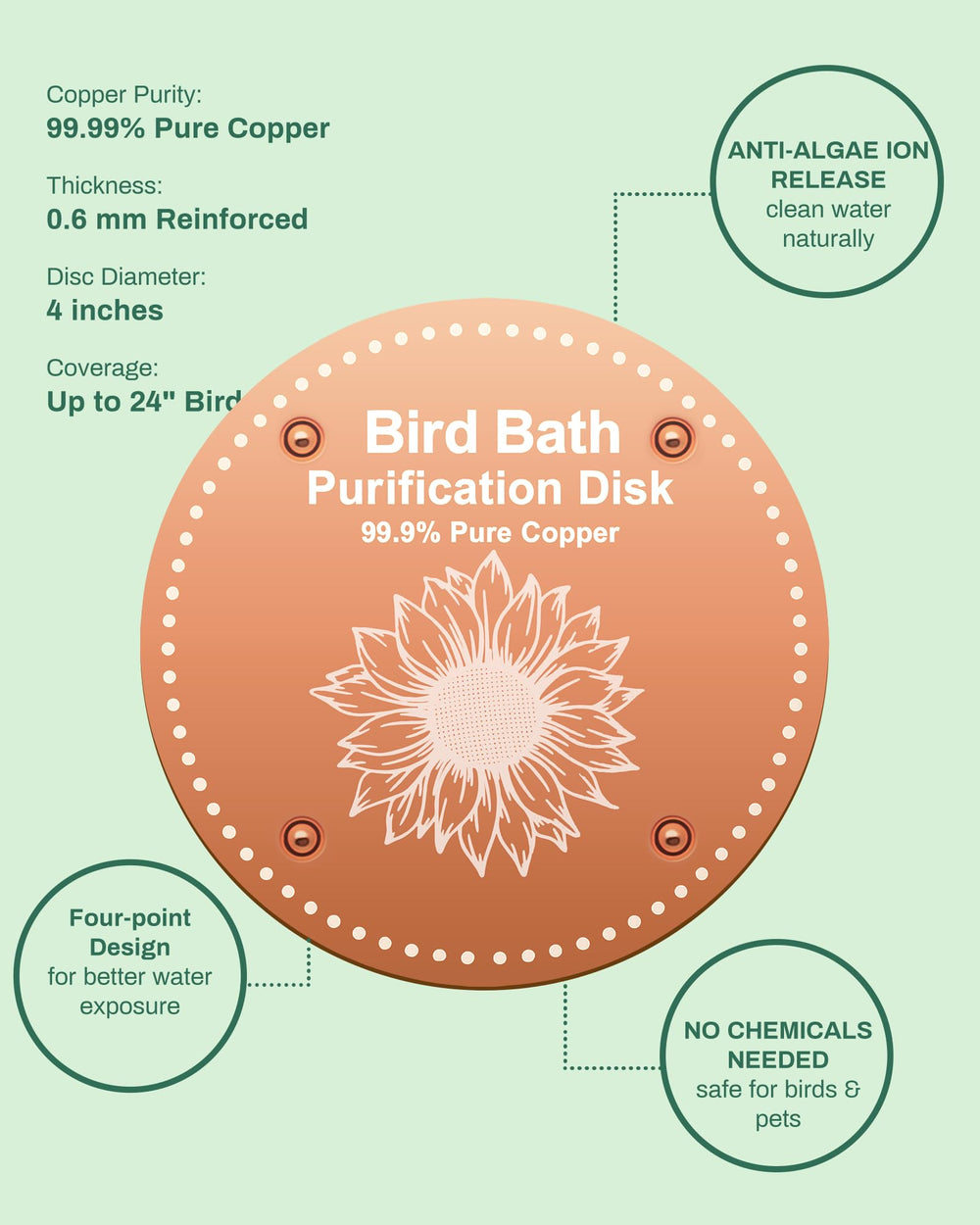 OICEME Bird Bath Purification Disk placed in a garden bird bath