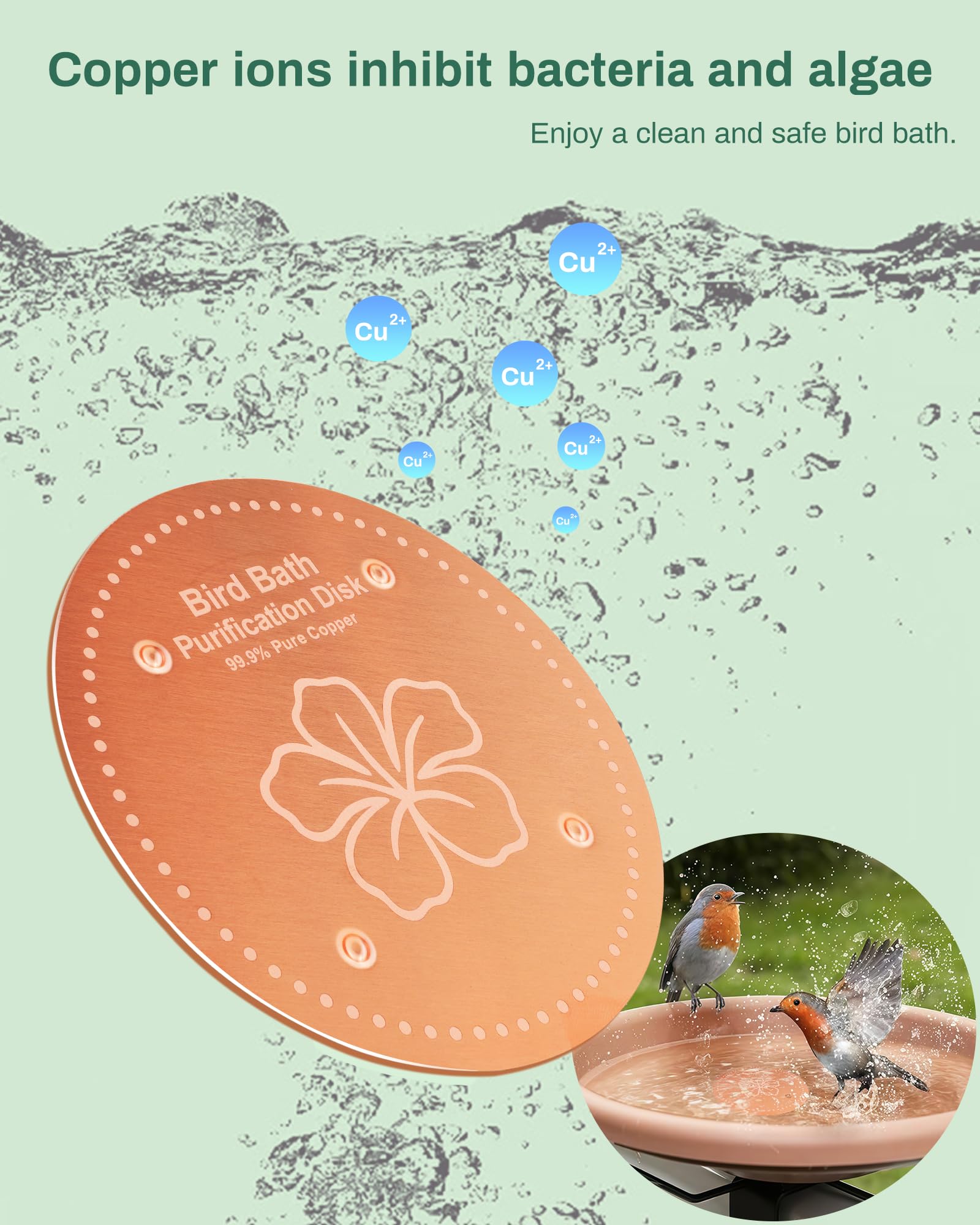 OICEME Bird Bath Purification Disk side view showing thickness
