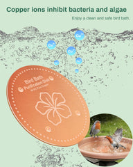 OICEME Bird Bath Purification Disk side view showing thickness