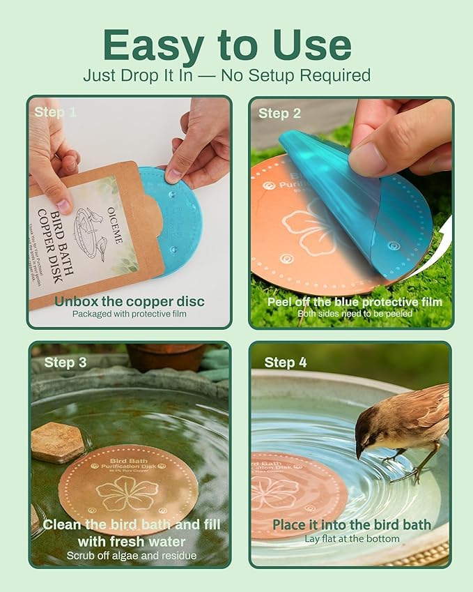 OICEME purification disc in a decorative outdoor setting
