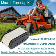 Oil filter from Emmawin FR691V Tune Up Kit
