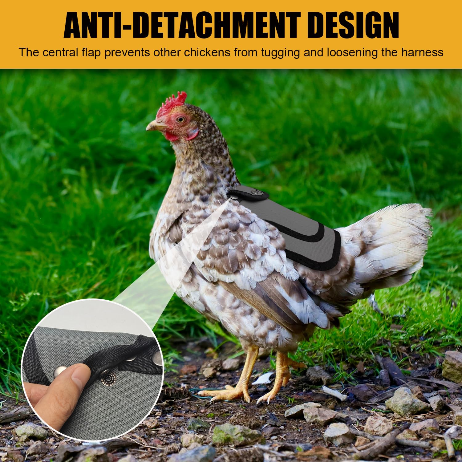 OIUXIMT Chicken Saddle in blue colour on hen