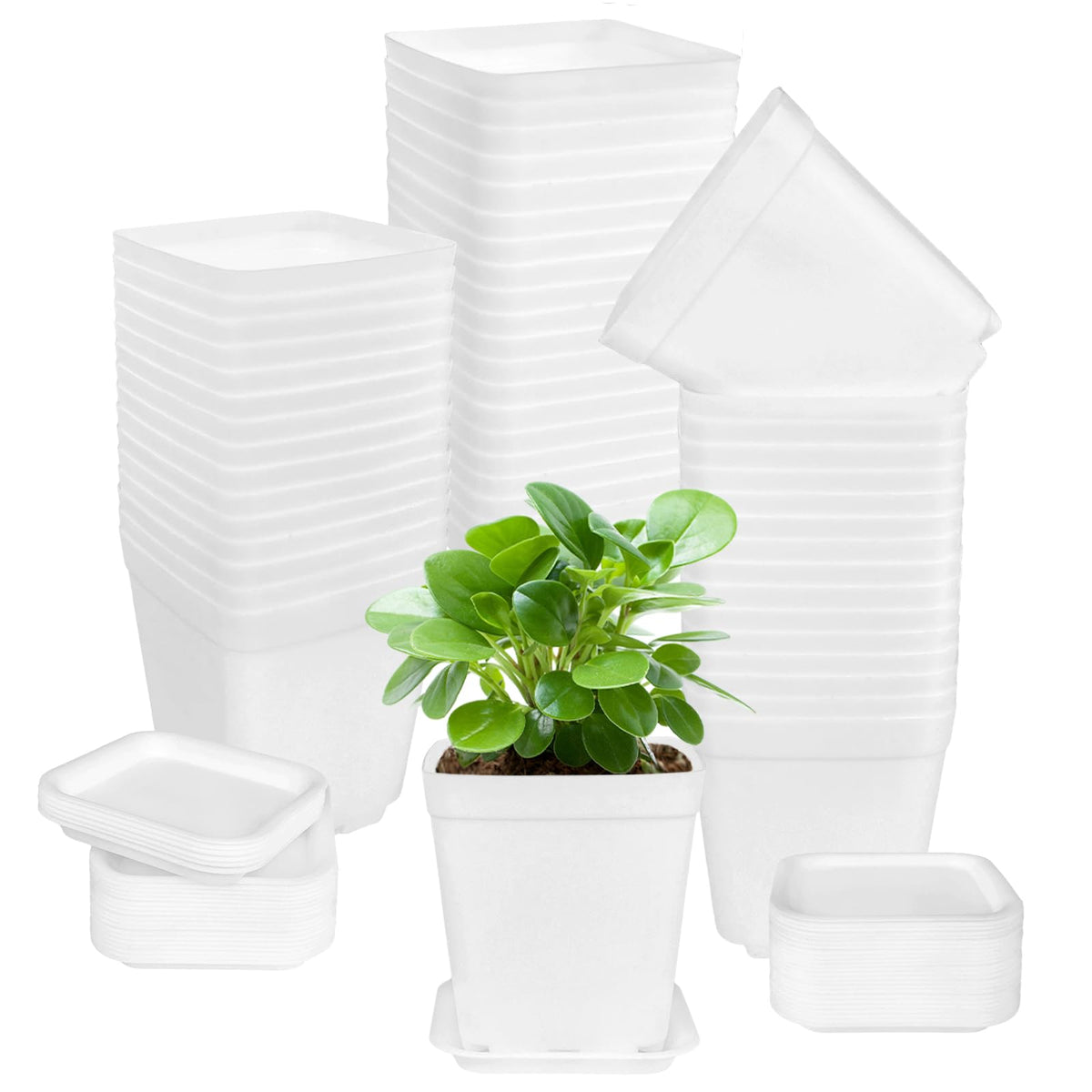 OJYUDD 72 Pcs white square plastic pots with saucer front view