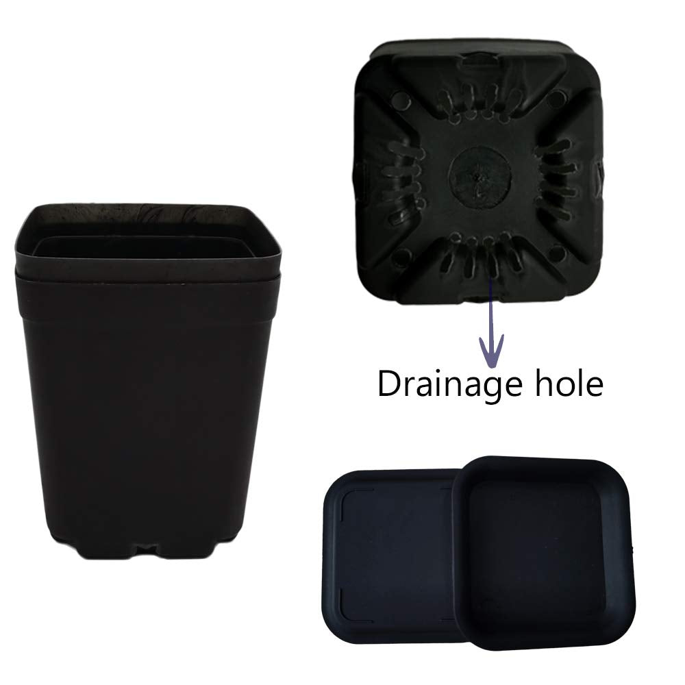 OJYUDD pots showing drainage holes