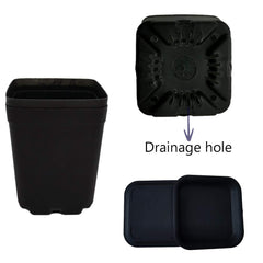 OJYUDD pots showing drainage holes
