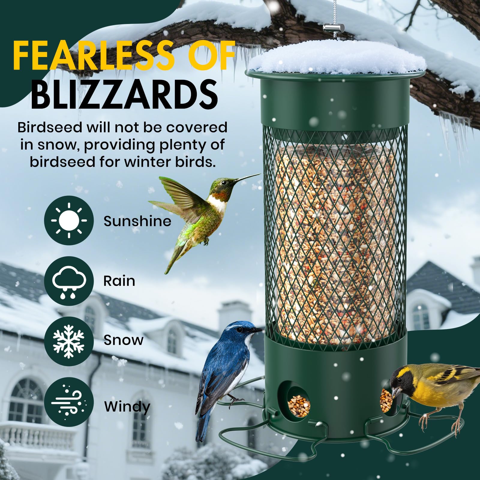 Olaiti bird feeder hanging in a garden setting