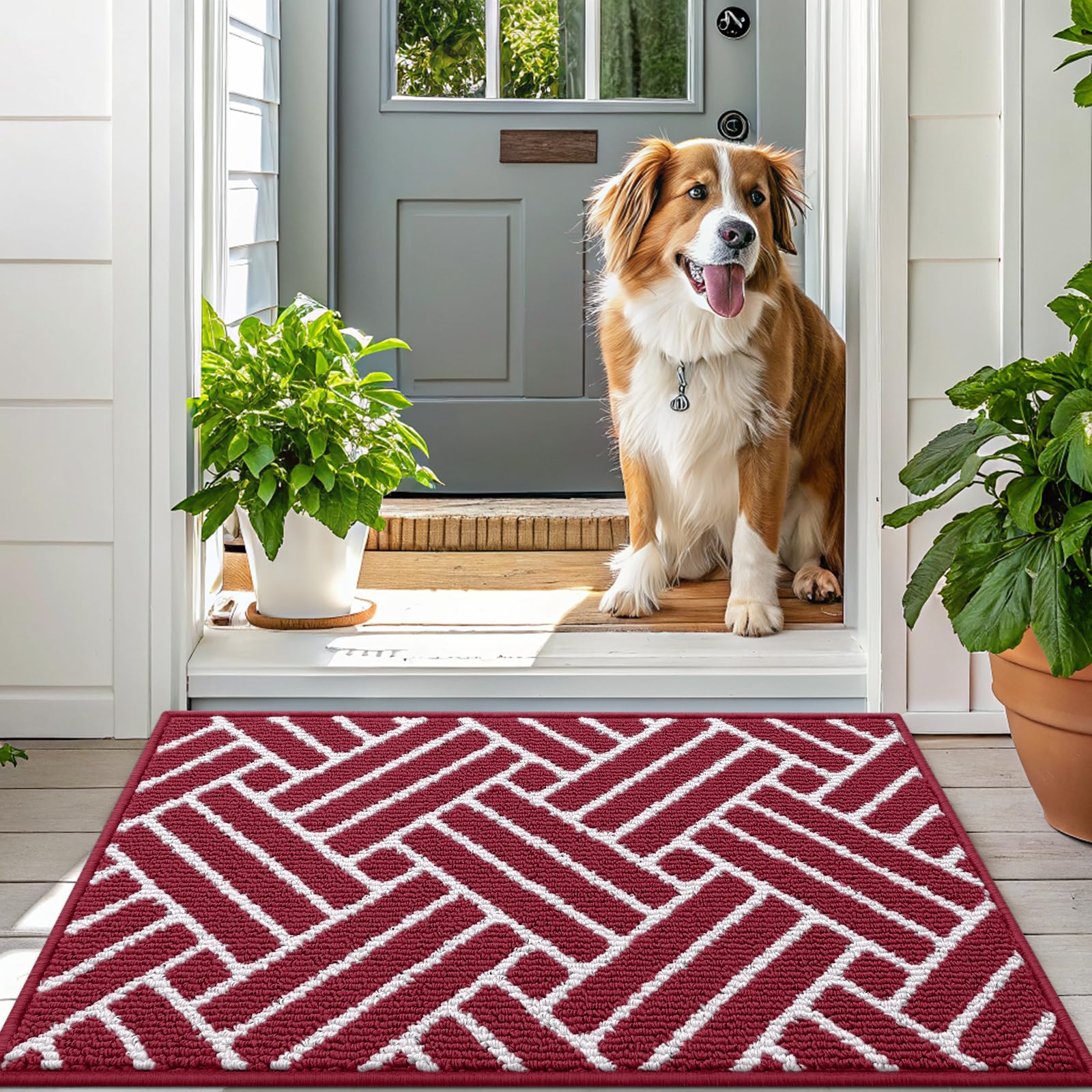OLANLY Indoor Door Mat 48x32 burgundy cleaning process