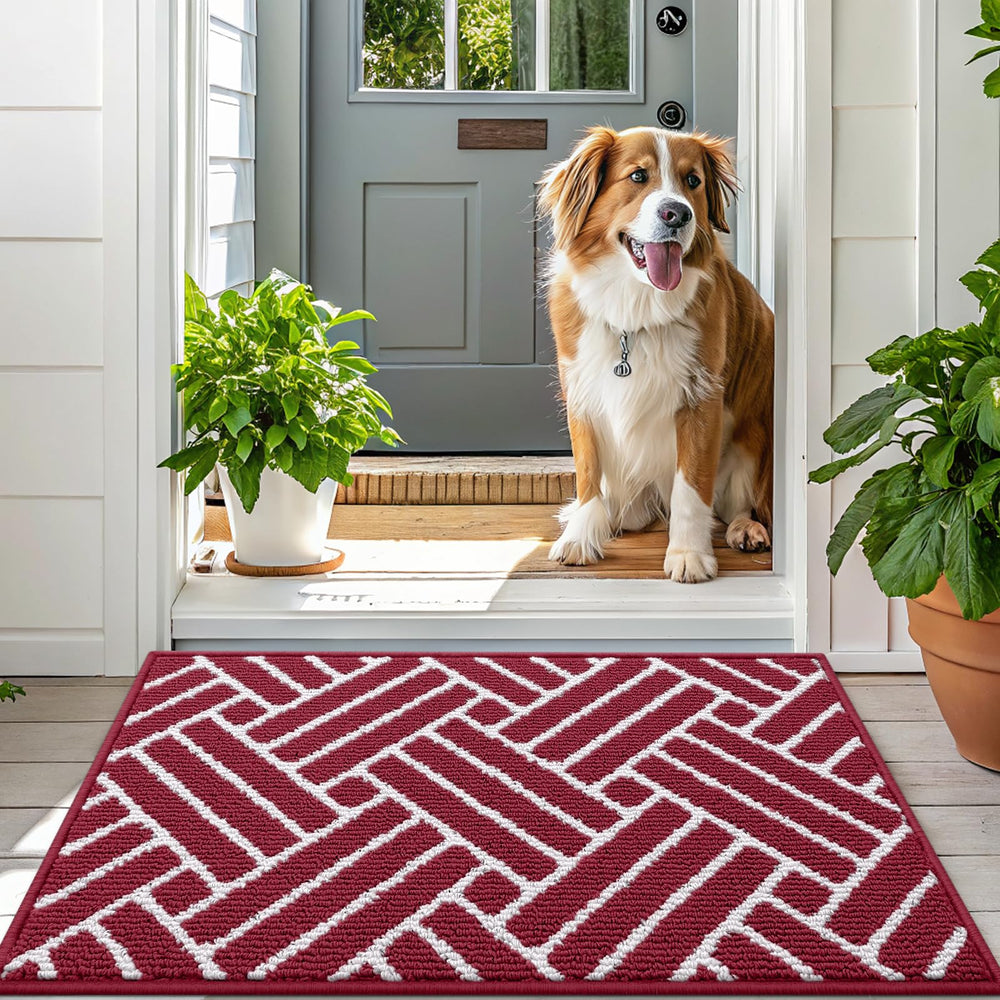 OLANLY Indoor Door Mat 48x32 burgundy cleaning process