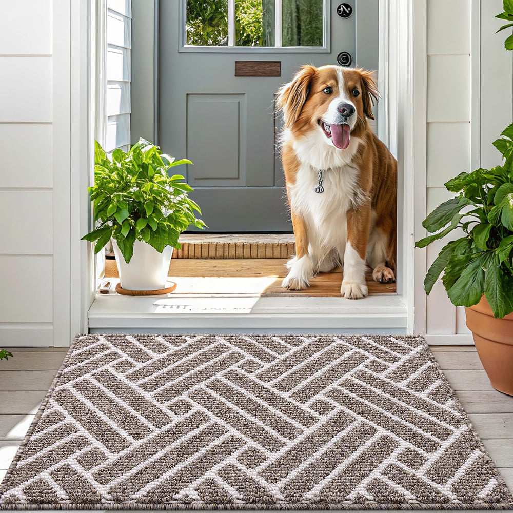 OLANLY Indoor Door Mat 48x32 khaki easy clean demonstration