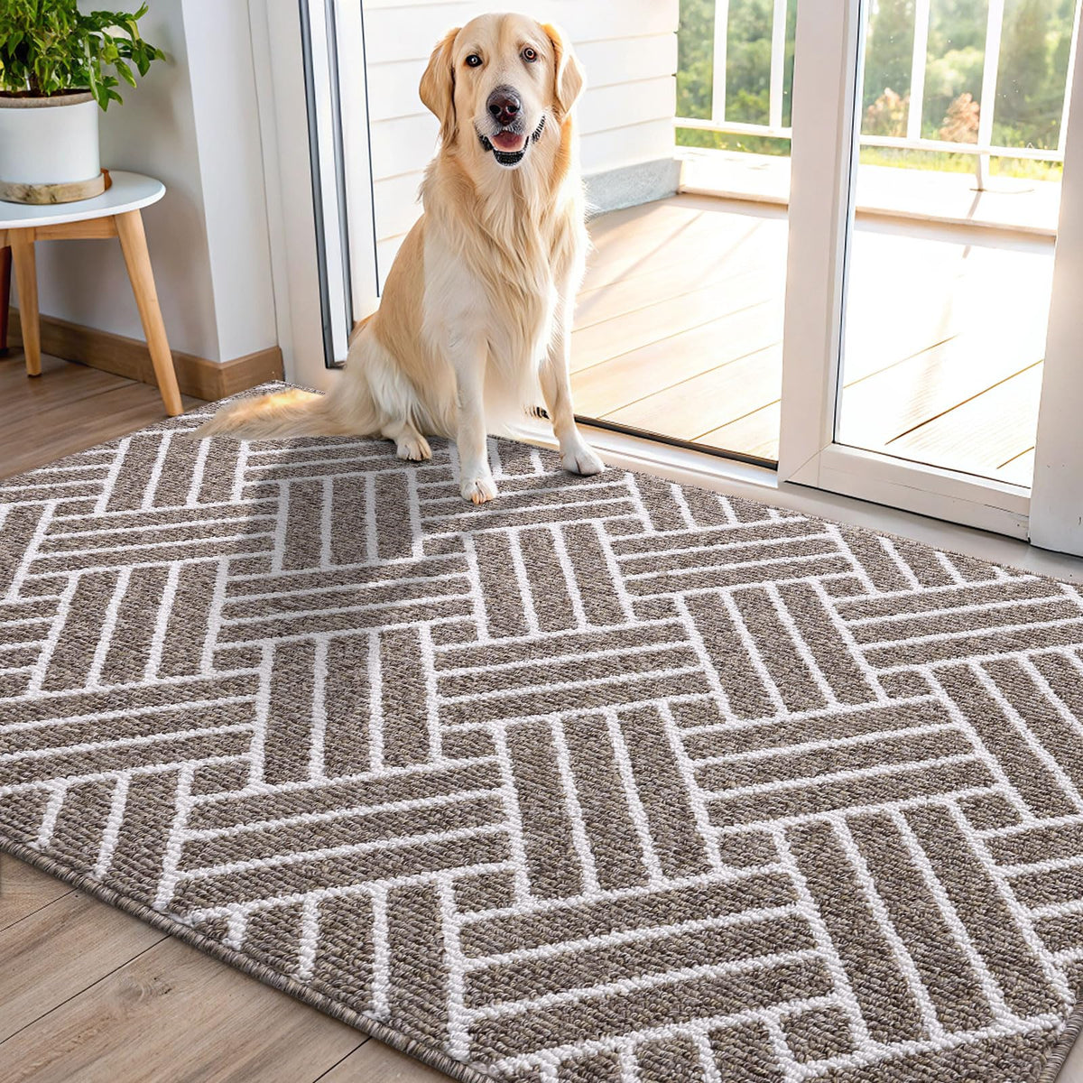 OLANLY Indoor Door Mat 48x32 khaki front view