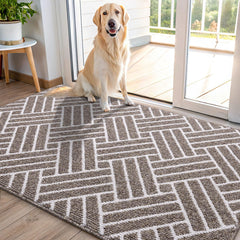 OLANLY Indoor Door Mat 48x32 khaki front view
