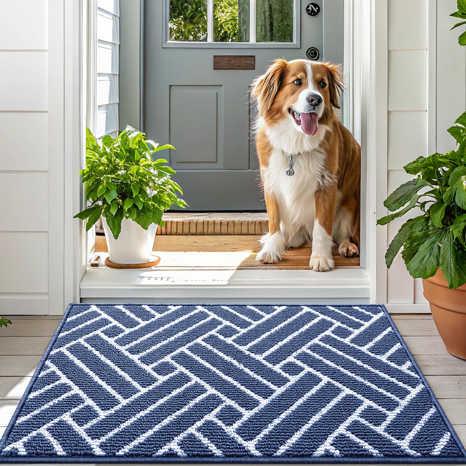 OLANLY Indoor Door Mat 48x32 navy with dirt captured