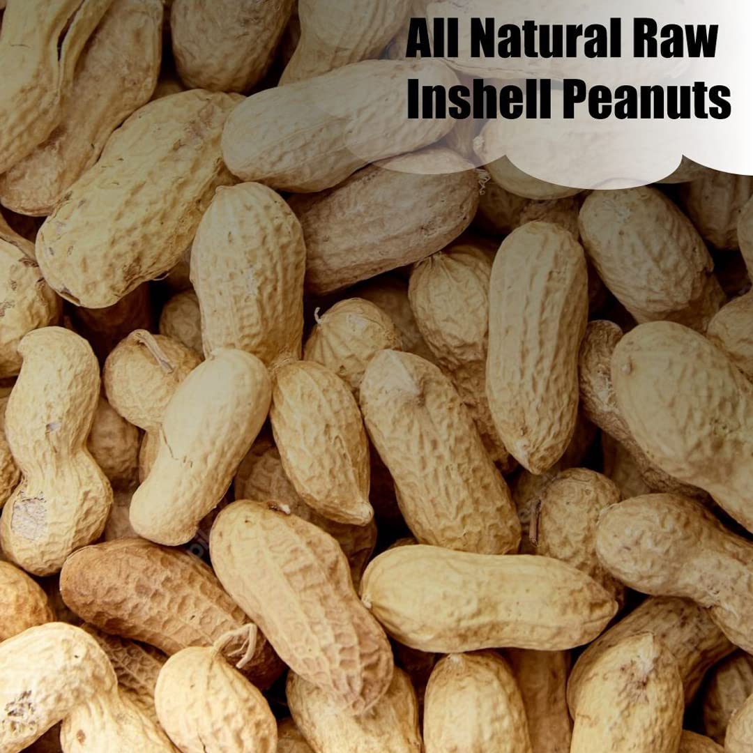 Old Potters in-shell peanuts displayed outdoors with wildlife