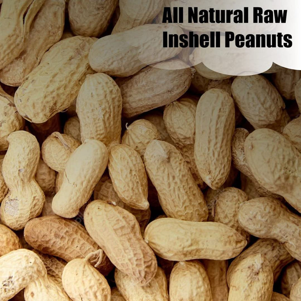 Old Potters in-shell peanuts displayed outdoors with wildlife