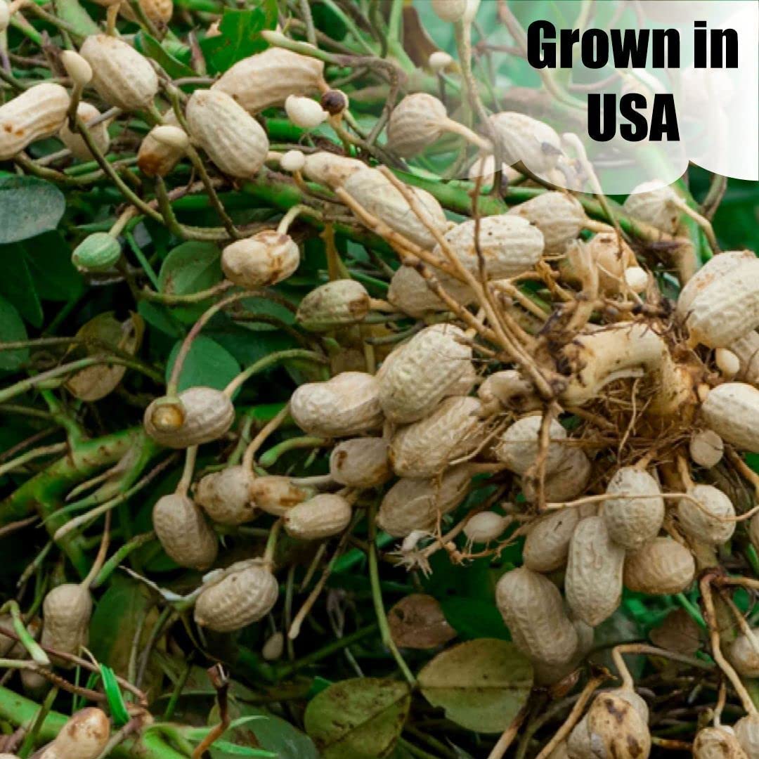 Old Potters peanuts package with nutritional information