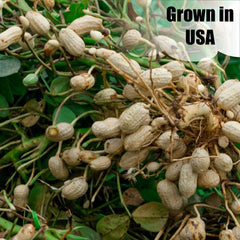 Old Potters peanuts package with nutritional information
