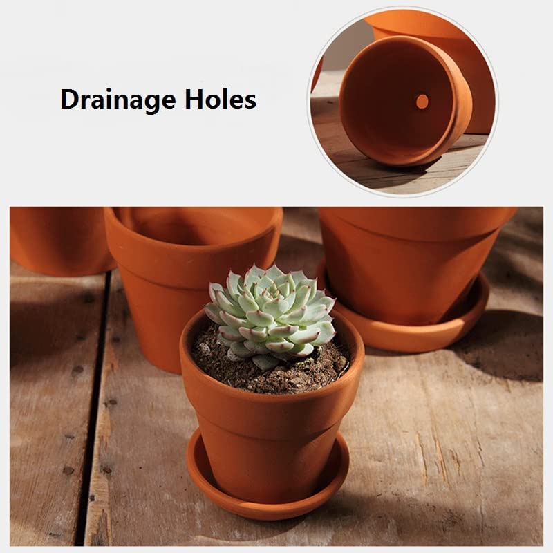OLEEP terracotta pot with succulent plant