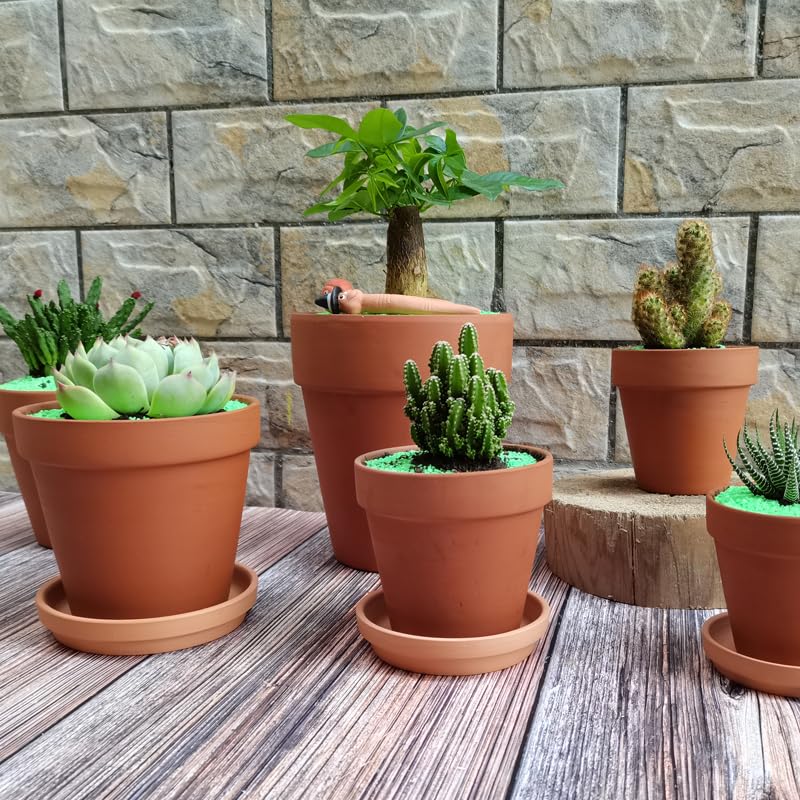 OLEEP terracotta pots on a windowsill