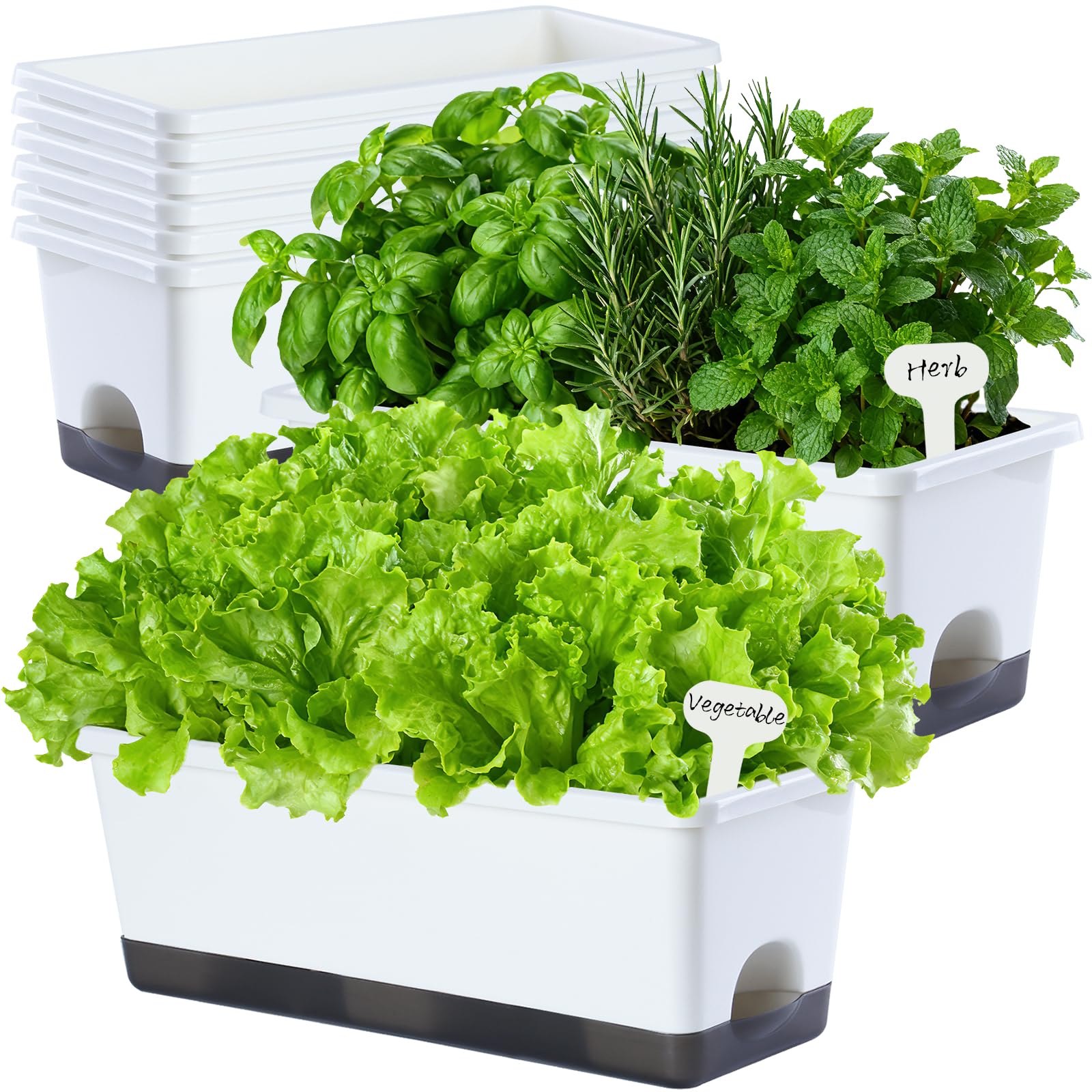 Oliz self-watering window box planter set of 8, white color
