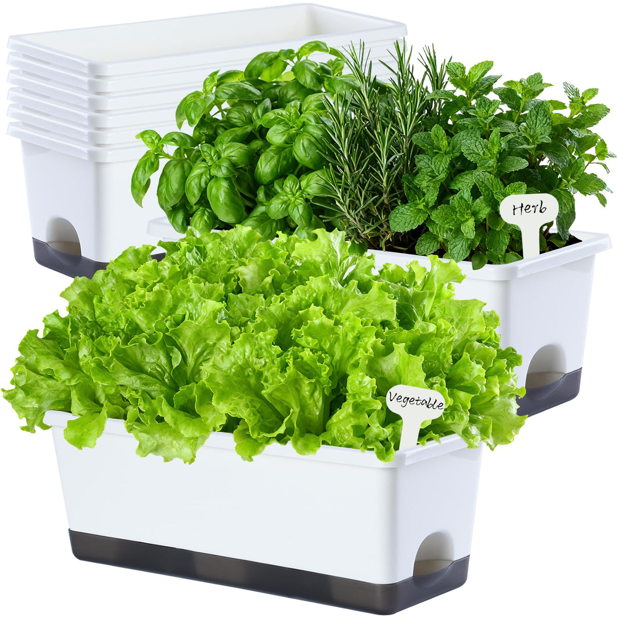 Oliz self-watering window box planter set of 8, white color