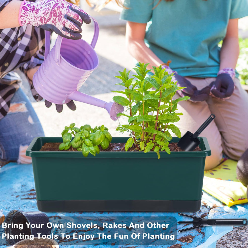 Oliz Window Box Planter set of 8 pieces