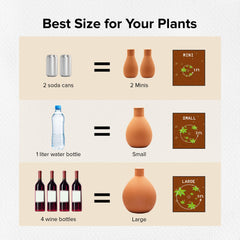 Olla Watering Pot in a garden setting