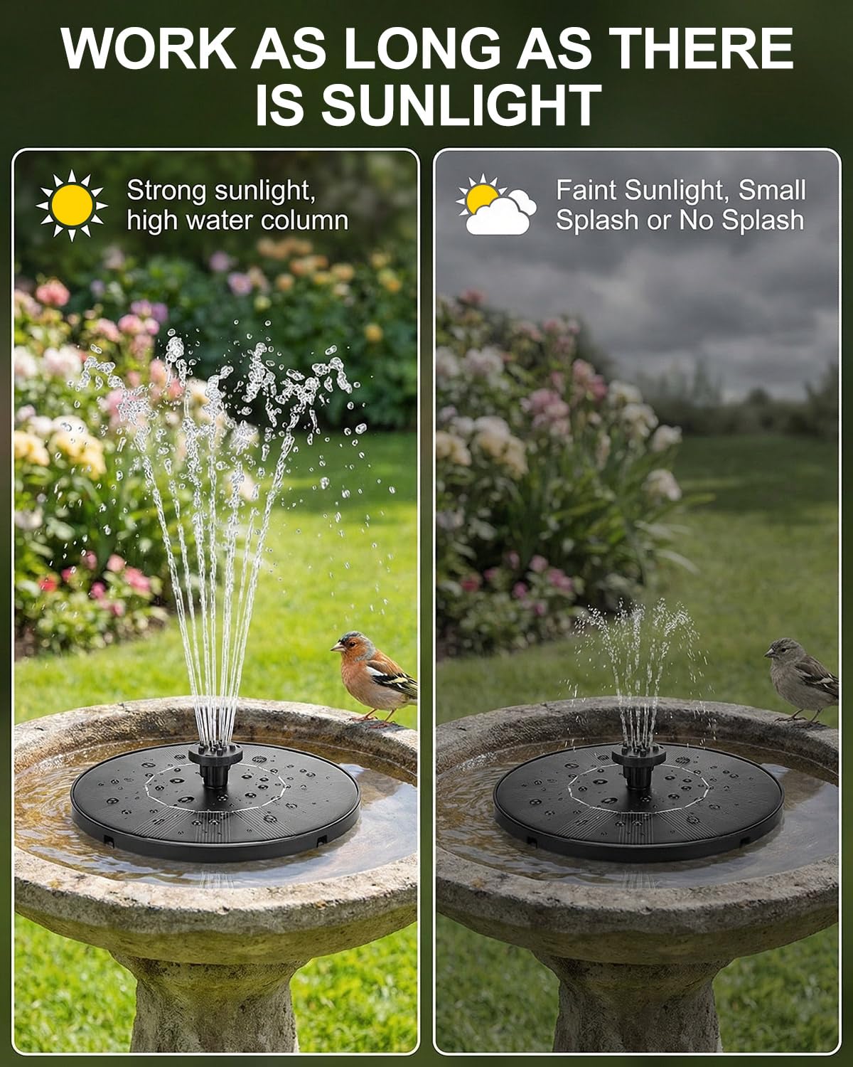 Olutula Solar Bird Bath Fountain compact size demonstration