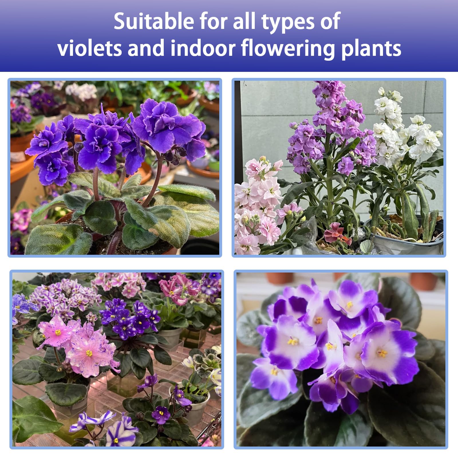 Omitgoter African Violet Potting Soil Mix in a pot with African violets
