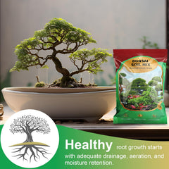 Omitgoter Bonsai Soil Mix 1qt displayed next to a bonsai tree