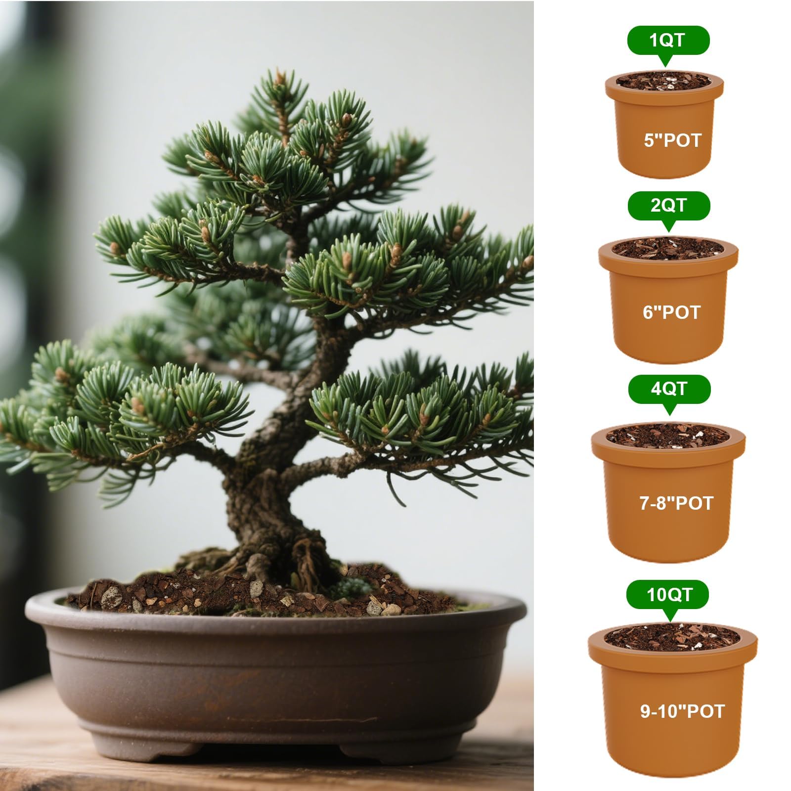 Omitgoter Bonsai Soil Mix in a garden setting