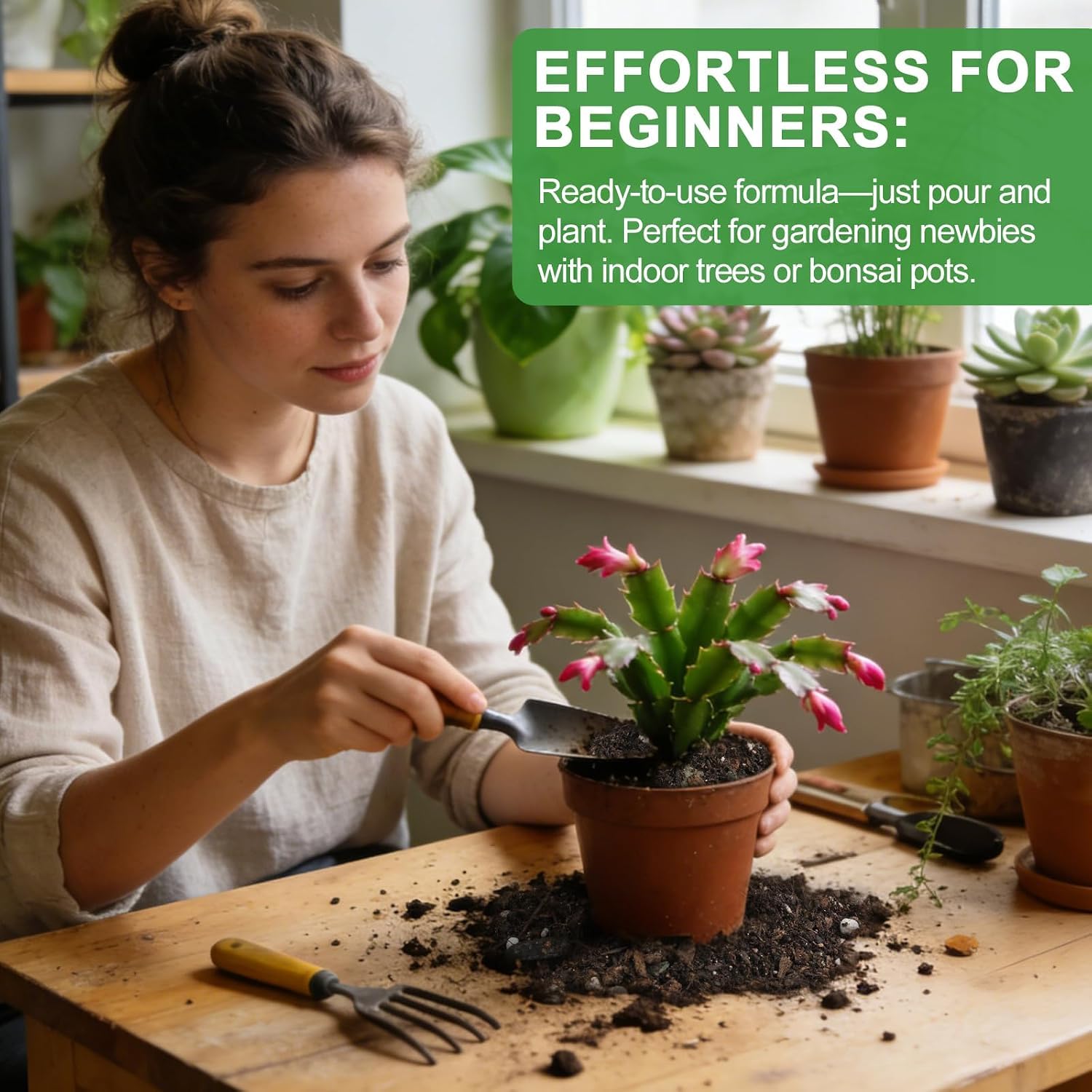Omitgoter Christmas Cactus Soil ready to use