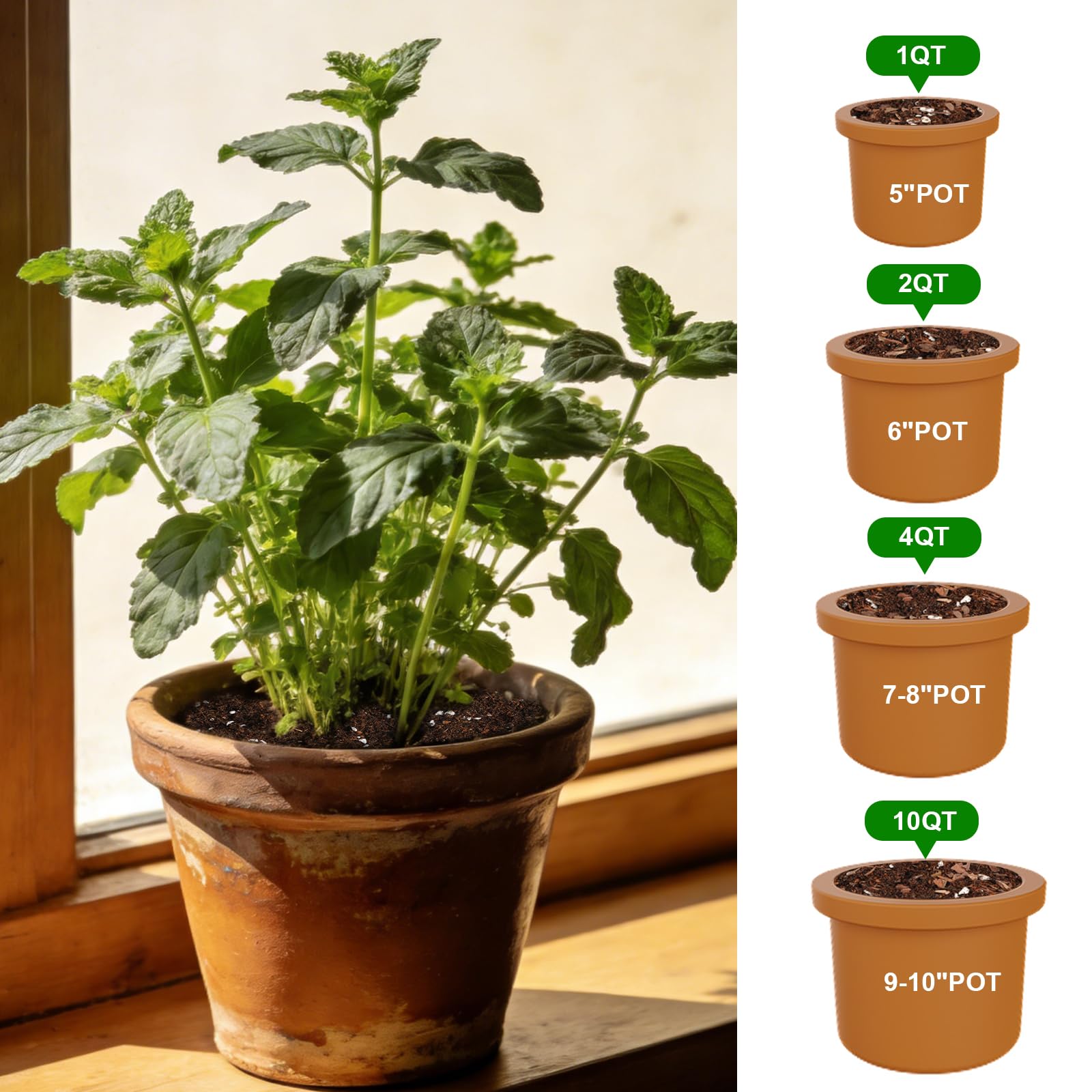 Omitgoter Organic Potting Soil Mix 1QT bag opened