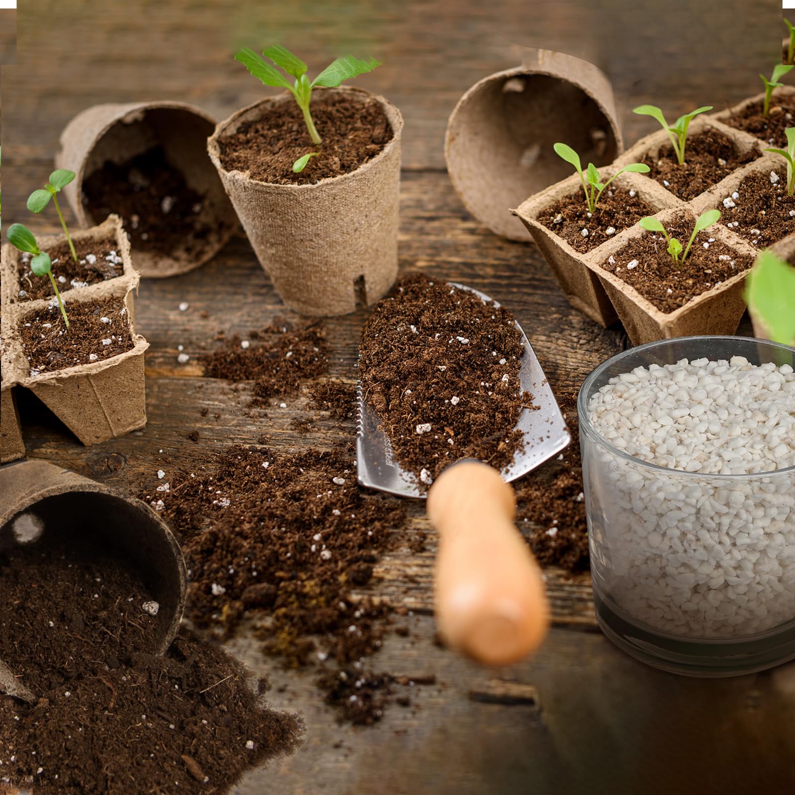 Omitgoter Perlite demonstrating soil aeration
