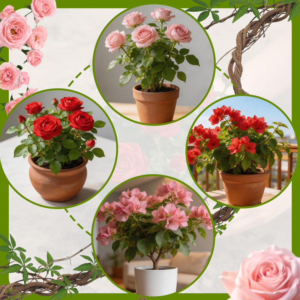Omitgoter Rose Soil 1qt bag side view