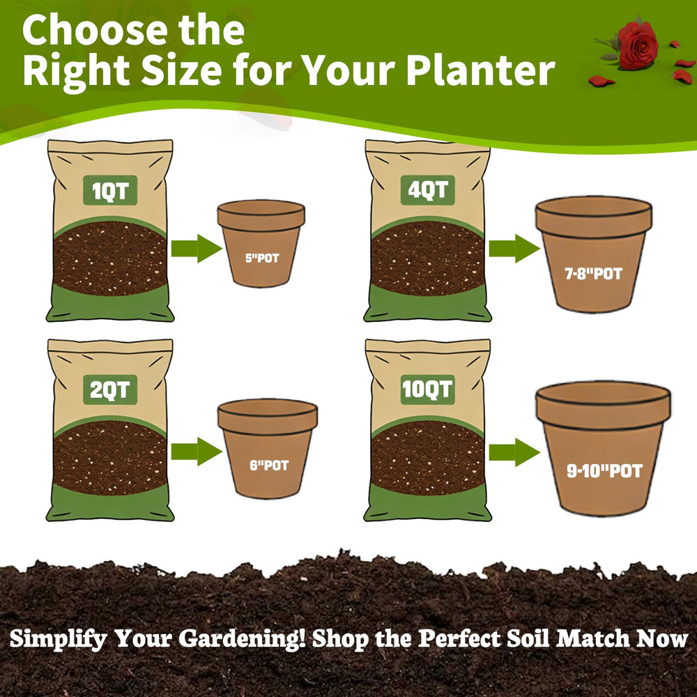 Omitgoter Rose Soil in a garden with various flowers