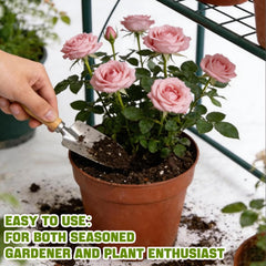 Omitgoter Rose Soil in a pot with blooming roses