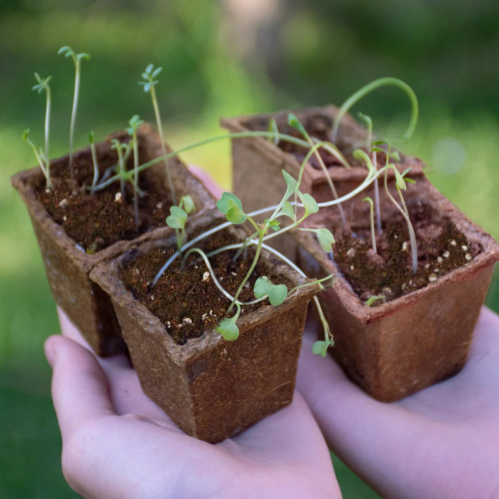 Omitgoter Seed Starting Soil Mix 1qt on a gardening table
