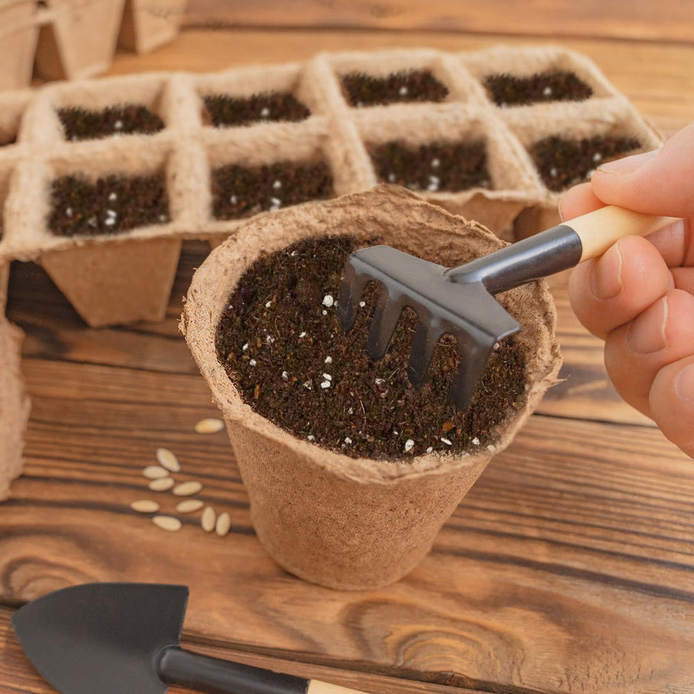 Omitgoter Seed Starting Soil Mix 1qt with seedlings growing in it