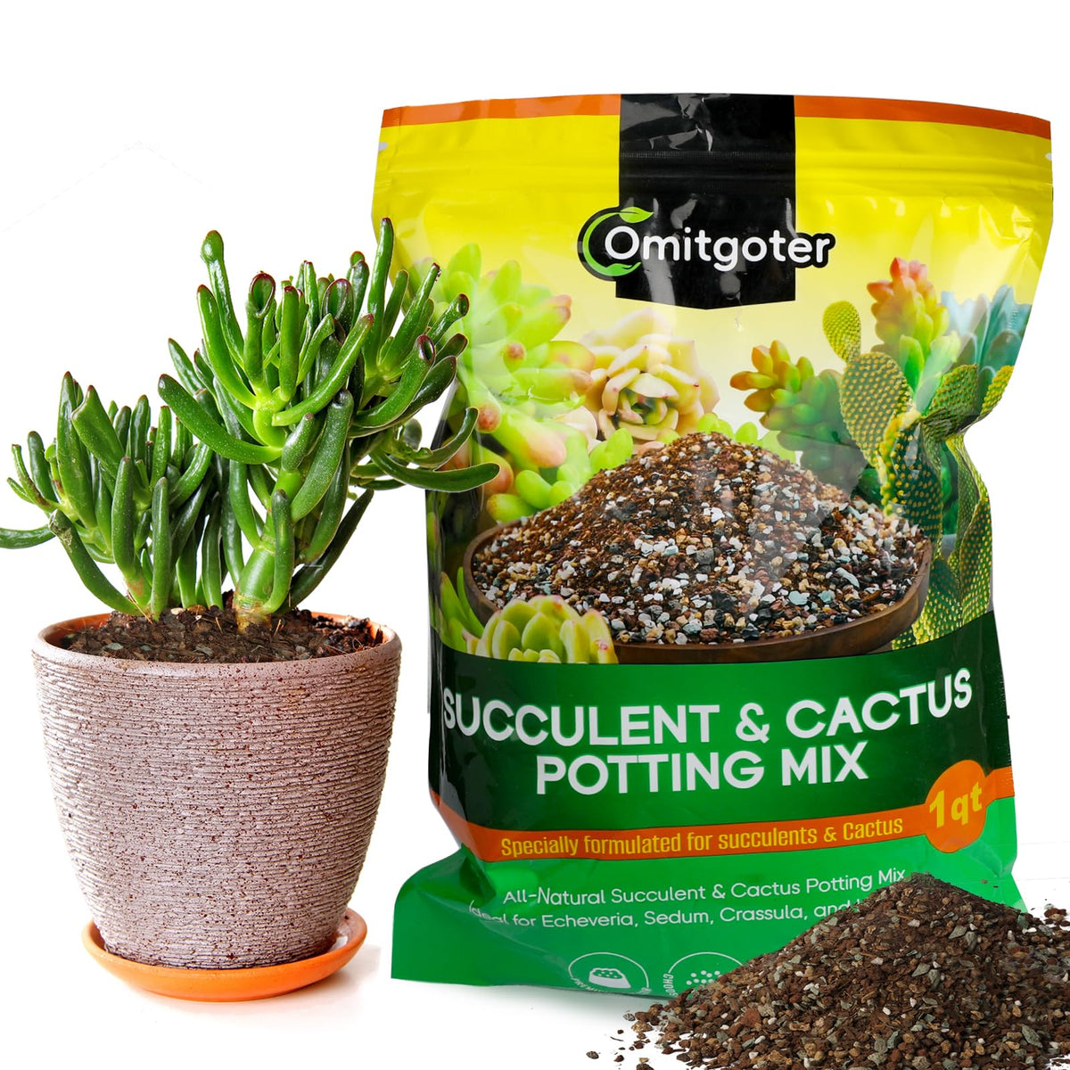 Omitgoter Succulent & Cactus Soil Potting Mix 1qt front view