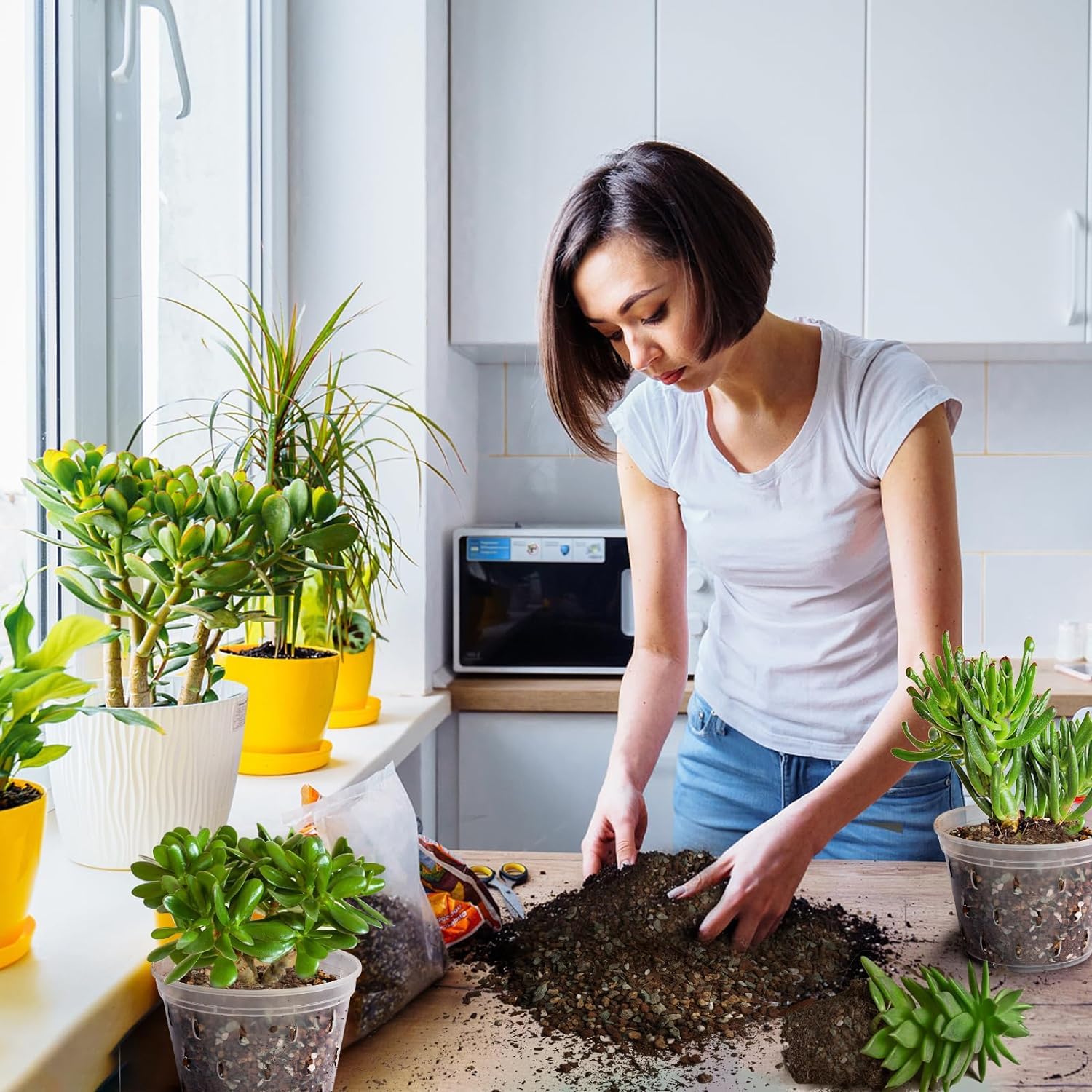 Omitgoter Succulent & Cactus Soil Potting Mix size comparison