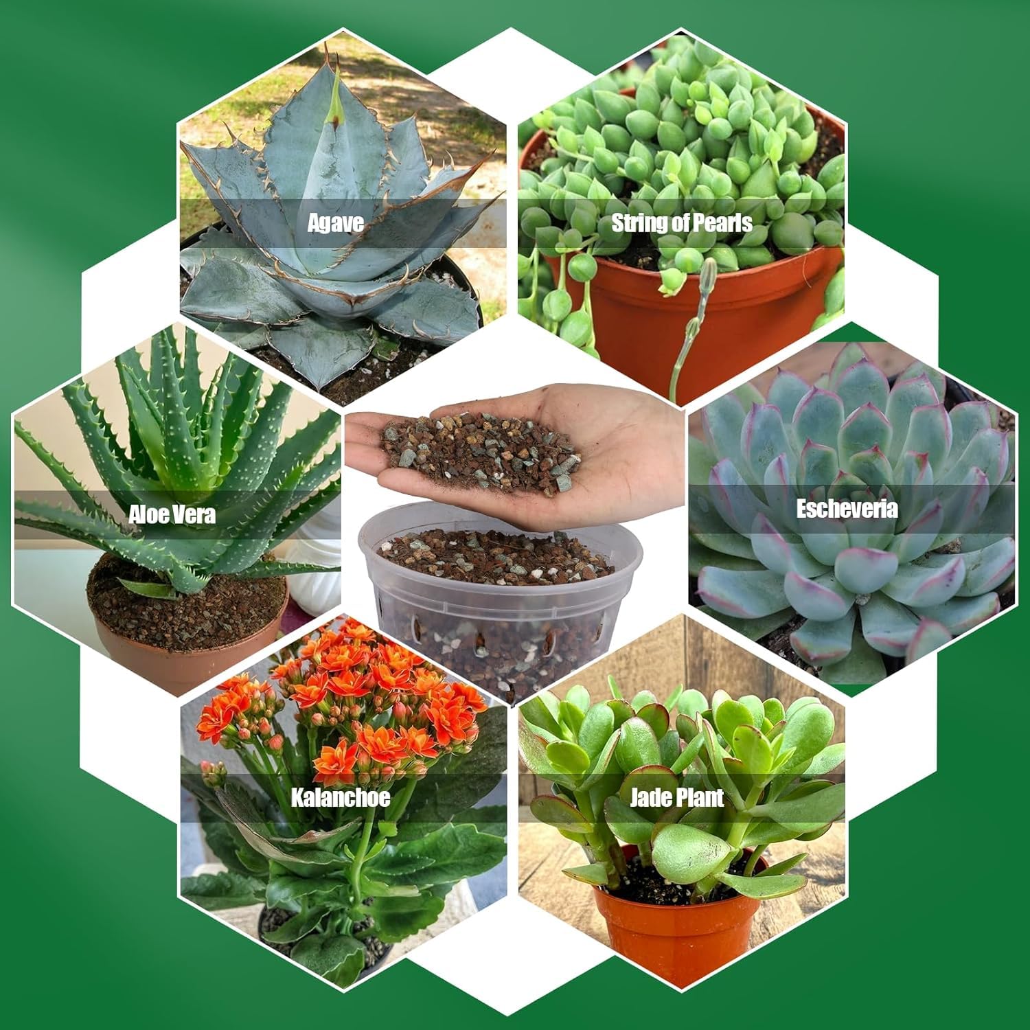 Omitgoter Succulent & Cactus Soil Potting Mix zipper pouch