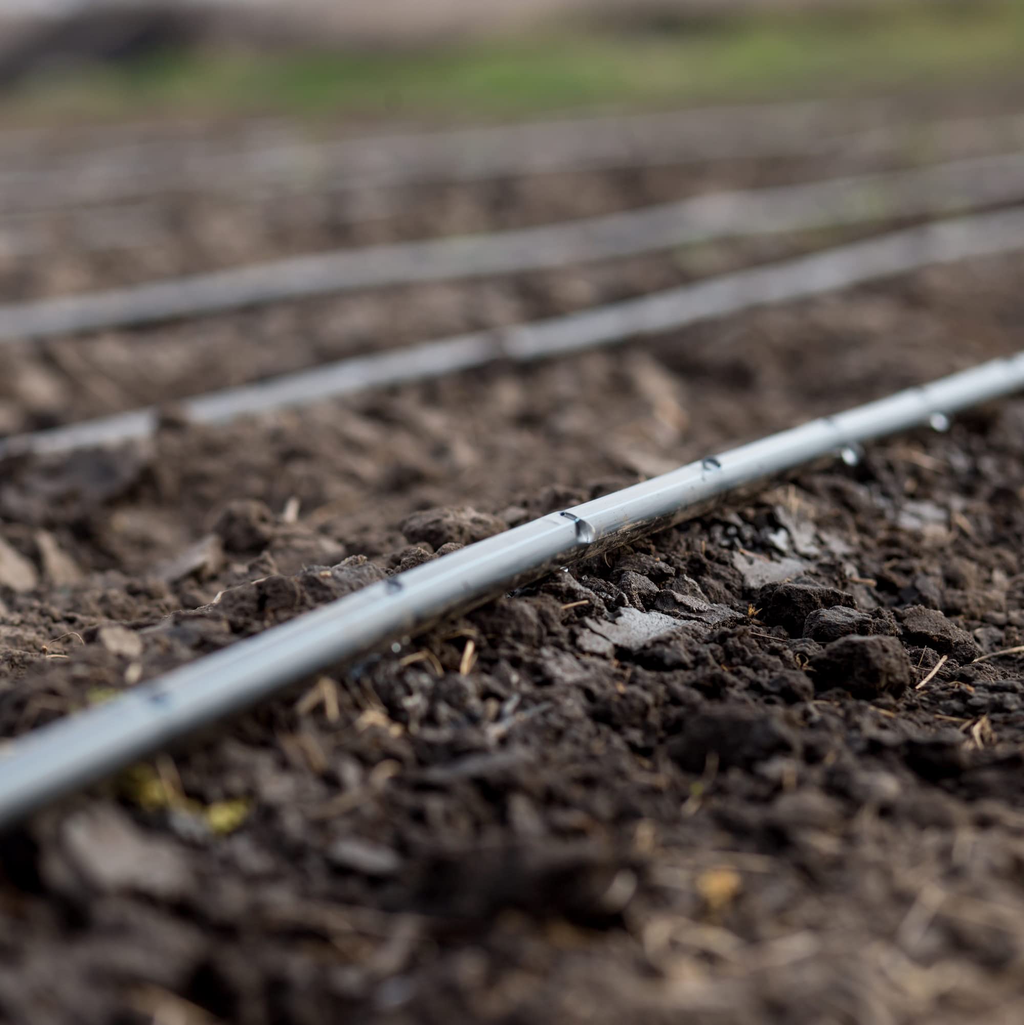 One Stop Outdoor Dripline installed in a garden setting