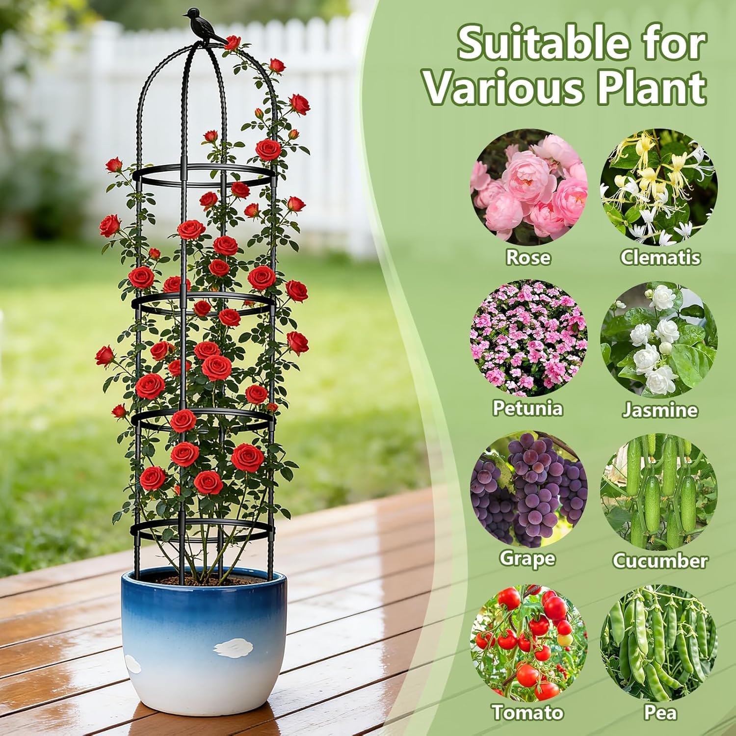 ONEANU Obelisk Trellis supporting climbing flowers