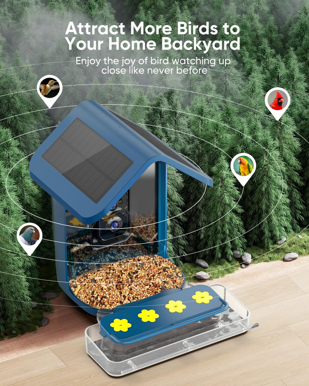 onlyfly bird feeder camera with solar panels