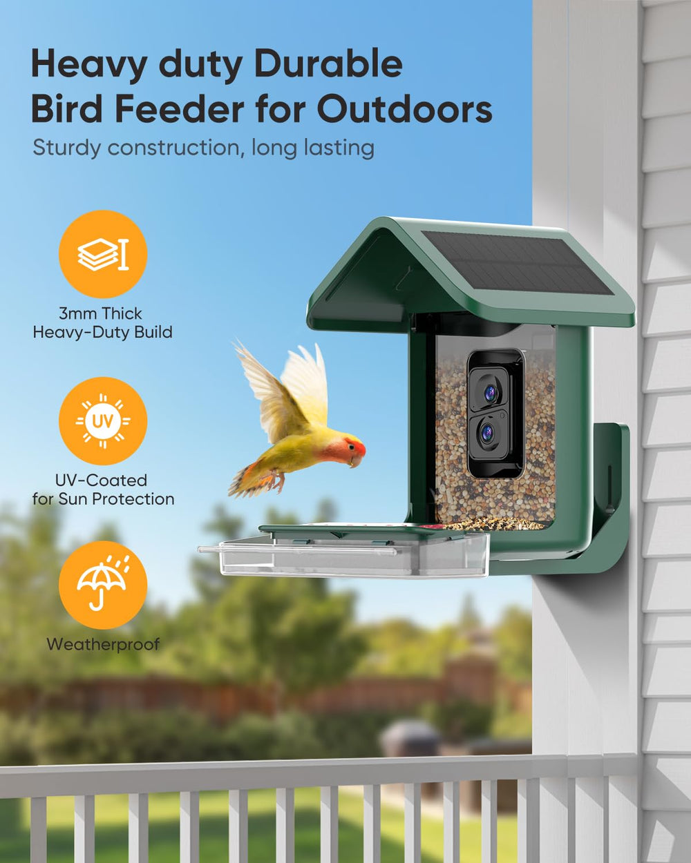 onlyfly bird feeder with app notifications display