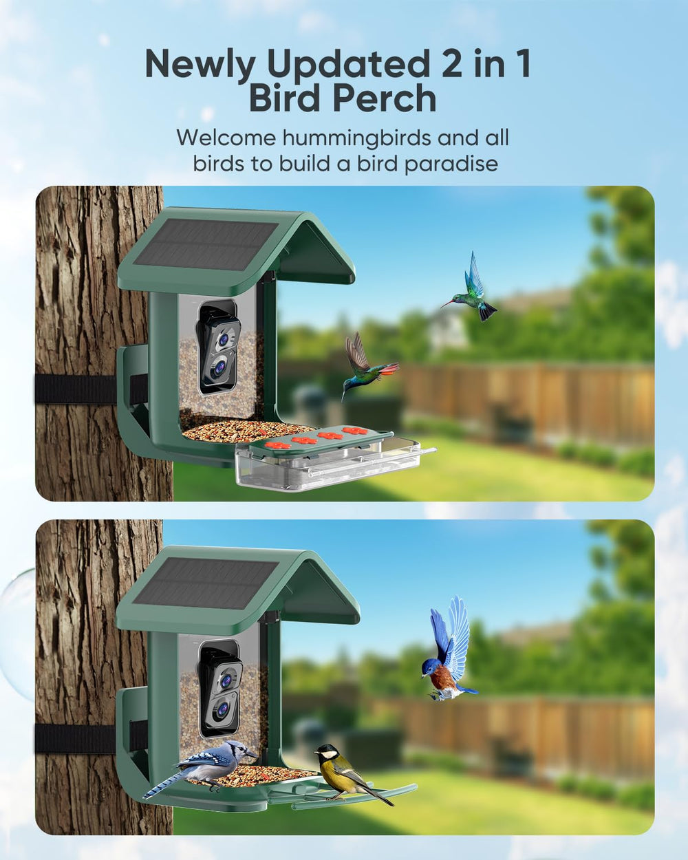 onlyfly bird feeder with birds feeding