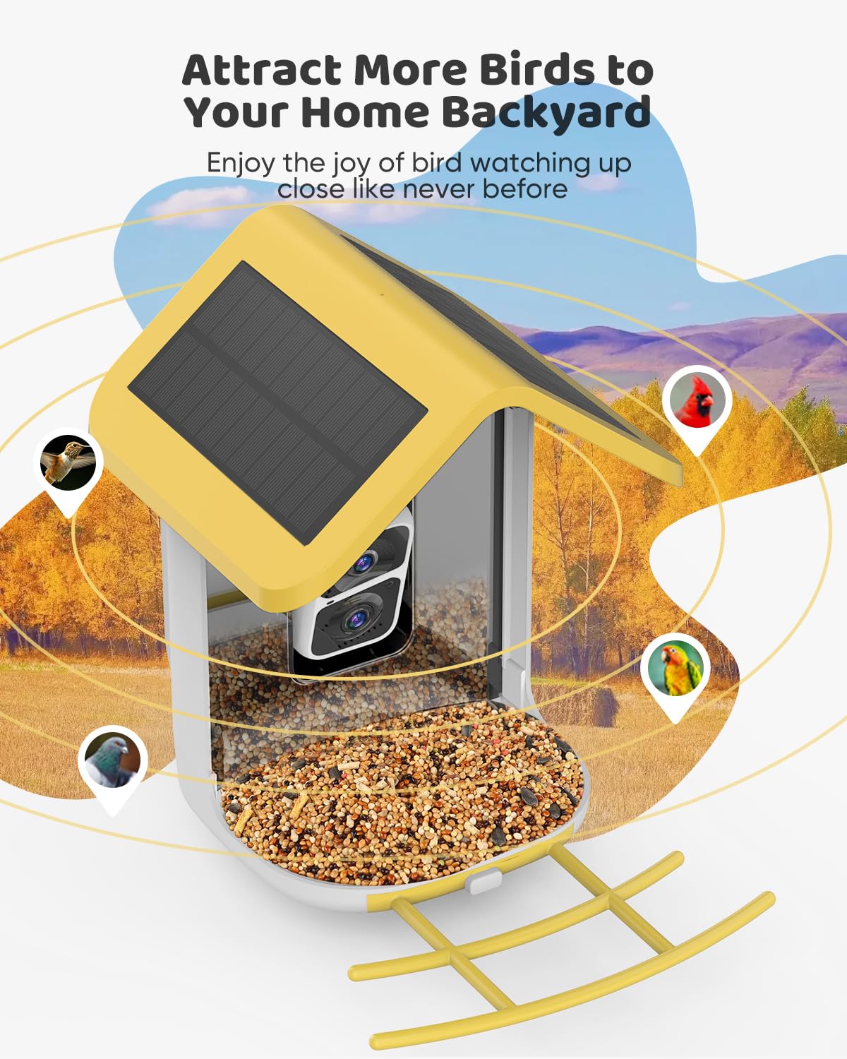 onlyfly Smart Bird Feeder close-up with bird visitors