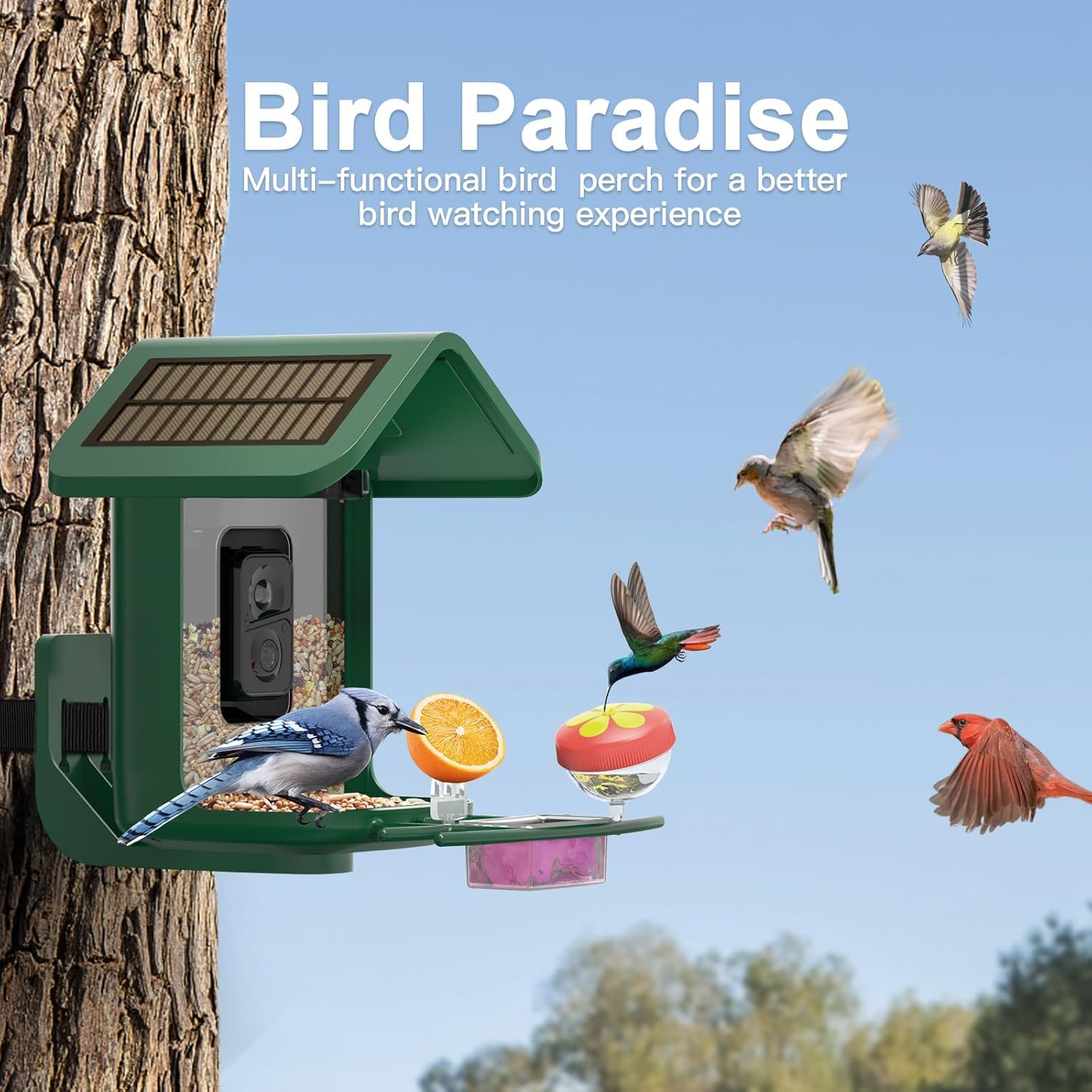 onlyfly Smart Bird Feeder mounted on a tree