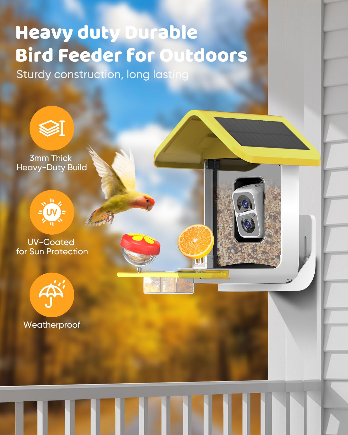 onlyfly Smart Bird Feeder with AI features displayed
